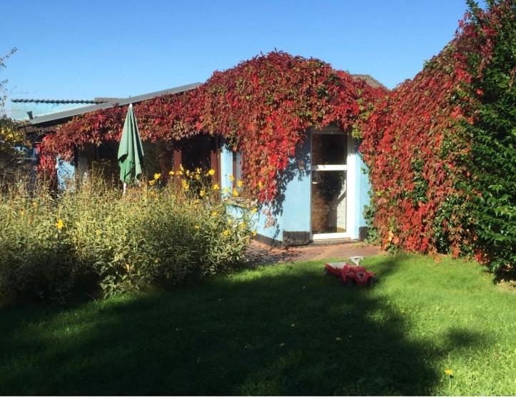 Blaues Haus Neu Reddevitz Villa Lancken-Granitz Kültér fotó